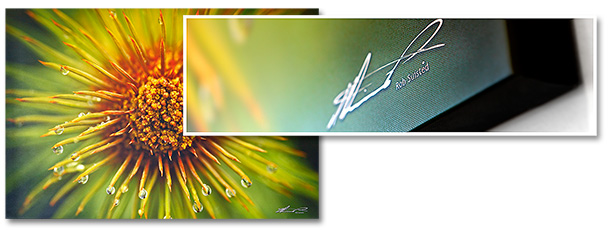 signature on prints