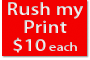 Rush my canvas art print