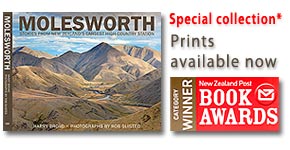 Molesworth Station Book canvas photo art prints