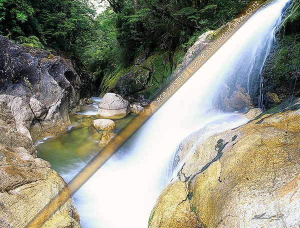Photo of Lake stream and waterfall cascade running through a beech forest (Nothofagus sp.) gorge, Victoria Range and Forest Park, Victoria Forest Park, Buller, West Coast Region, New Zealand (NZ)