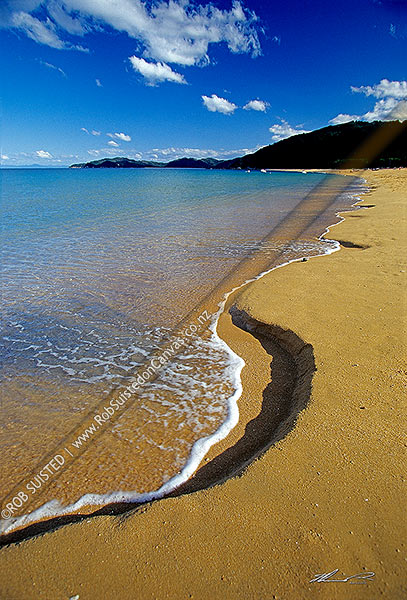 Photo of Totaranui Beach, Abel Tasman National Park, Golden Bay, Tasman, Tasman Region, New Zealand (NZ)
