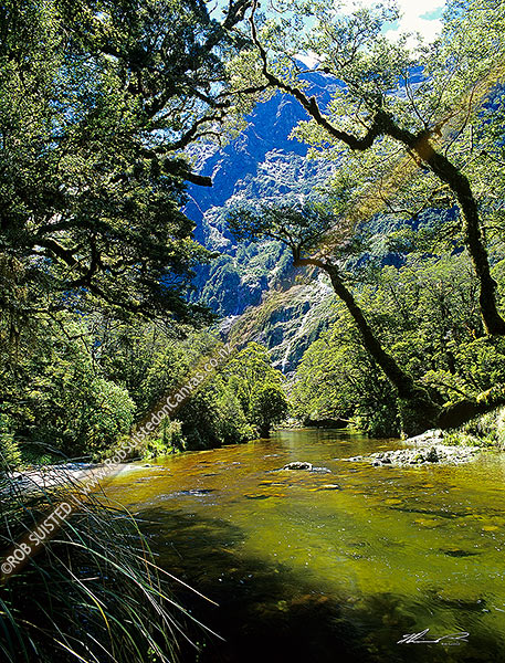 Photo of The upper Clinton River on the Milford Track - the 'finest walk in the world', Fiordland National Park, Southland, Southland Region, New Zealand (NZ)