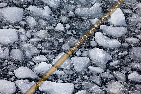 Photo of Sea brash ice, Ross Sea, Antarctica, Antarctica Region, Antarctica