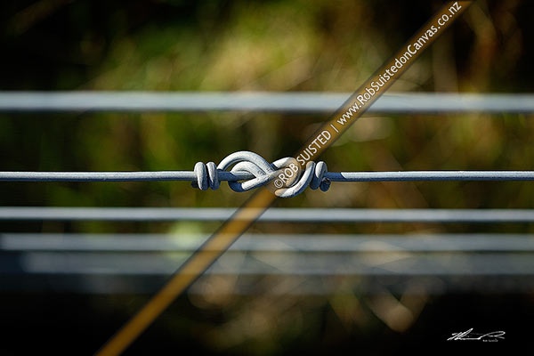 Photo of Figure of eight fencing wire knot joint on 8 wire fence. No.8 fencing wire,, New Zealand (NZ)