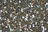 Shells, pebbles & stones pattern