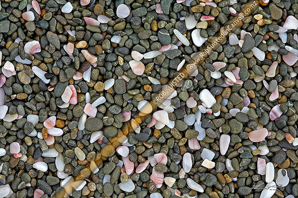 Photo of Shell fragments and small beach pebbles and stones making texture pattern,, New Zealand (NZ)