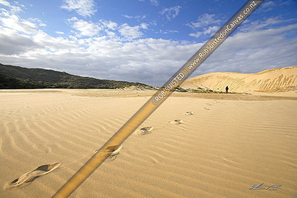 Photo of Person walking on giant sand dunes on (90) Ninety Mile Beach. Footprints in sand and textures, Te Paki, Cape Reinga, Far North, Northland Region, New Zealand (NZ)