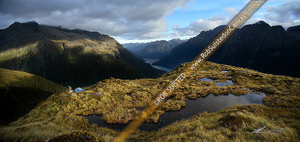 Photo of Wilderness alpine tent campsite above North Fiord of Lake Te Anau and the Glaisnock River Valley. Camping next to tarns tussock at dusk, Fiordland National Park, Southland, Southland Region, New Zealand (NZ)