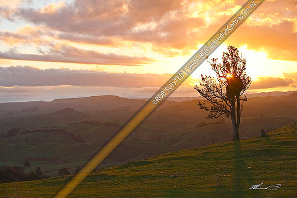 Photo of Fiery sunset avoer farmland hillcountry in the foothills of the Rauhine Range, Apiti, Manawatu, Manawatu-Wanganui Region, New Zealand (NZ)