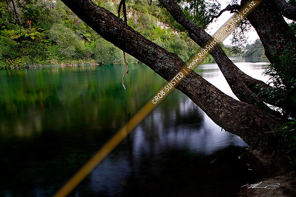 Photo of Evening time exposure of the slow moving Waikato River passing forested banks. Reflections in moody water. Shallow tilt focus, Taupo, Taupo, Waikato Region, New Zealand (NZ)