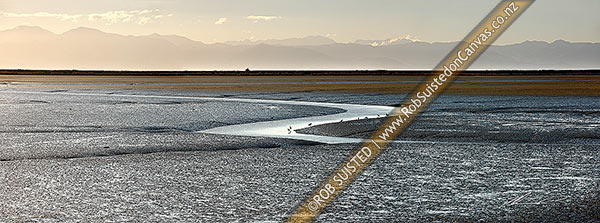Photo of Tidal mudflats and snaking stream in Nelson Haven estuary behind Boulder Bank, with herons, shags and gulls feeding along waters edge. Evening panorama with Kahurangi Mountains behind. Atawhai, Neslon, Nelson City, Nelson Region, New Zealand (NZ)