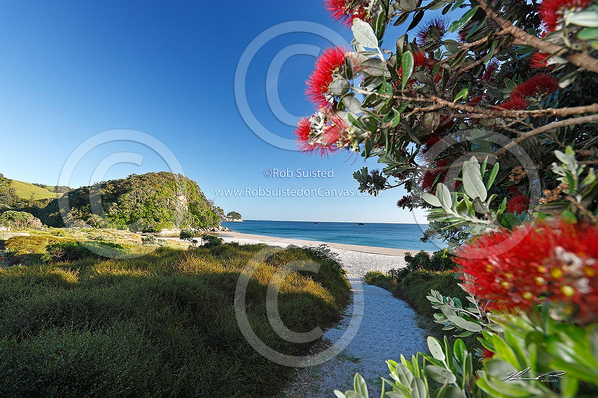 Coromandel Beach Nz