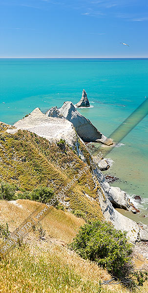 Photo of Cape Kidnappers saddle gannet colony, with Hawke Bay beyond, Cape Kidnappers, Hastings, Hawke's Bay Region, New Zealand (NZ)