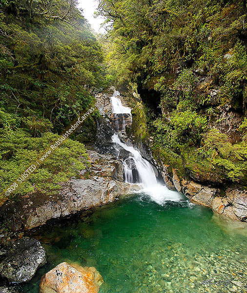 Photo of Falls Creek waterfalls in the Hollyford River Valley, enroute to Milford Sound; square format, Fiordland National Park, Southland, Southland Region, New Zealand (NZ)