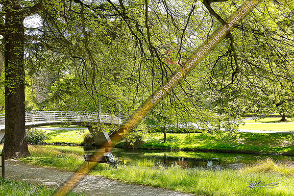 Photo of Hagley Park and Avon River in the Christchurch botanical gardens, Christchurch, Christchurch City, Canterbury Region, New Zealand (NZ)