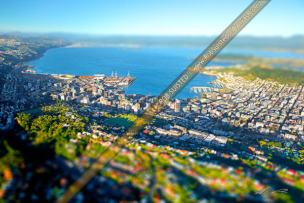 Photo of Fake miniature photo of Wellington city and harbour, a computer aided technique to give the impression of smallness to a scene, Wellington, Wellington City, Wellington Region, New Zealand (NZ)