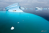 Seals and icebergs, Antarctica
