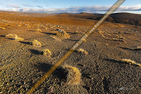 Photo of Rangipo Desert volcanic landscape on the Round the Mountain Track on Mt Ruapehu, Tongariro National Park, Taupo, Waikato Region, New Zealand (NZ)
