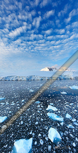 Photo of Ice floating on calm dark water near Port Lockroy, with glacier and mountains behind. Vertical panorama, Antarctic Peninsula, Antarctica, Antarctica Region, Antarctica