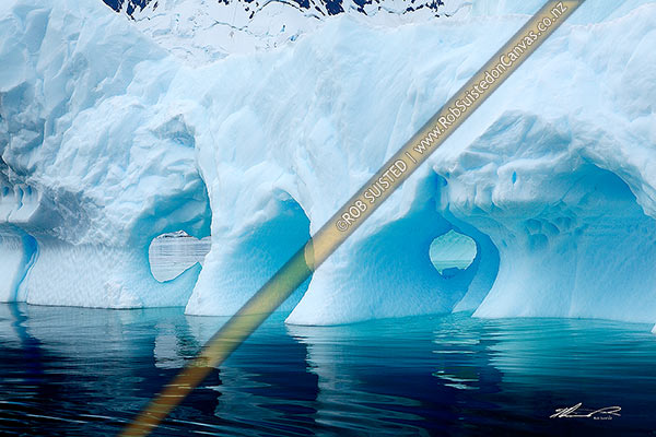 Photo of Iceberg with water sculptured hollows, windows and caves, in calm dark water. Irridescent luminious blues, Antarctic Peninsula, Antarctica, Antarctica Region, Antarctica