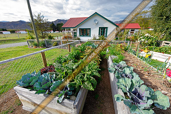 Photo of Molesworth Station cookhouse and vegetable patch, Molesworth Station, Marlborough, Marlborough Region, New Zealand (NZ)