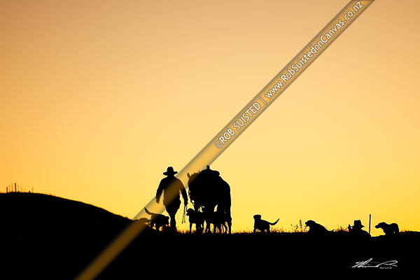 Photo of Stockmen horses and dogs heading out from Bush Gully at day break to muster cattle into yards. Silhouette, Molesworth Station, Marlborough, Marlborough Region, New Zealand (NZ)