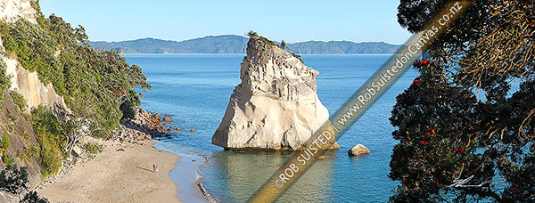 Photo of Cathedral Cove beach with people enjoying a peaceful morning, in Whanganui A Hei Marine Reserve. Panorama, Hahei, Thames-Coromandel, Waikato Region, New Zealand (NZ)