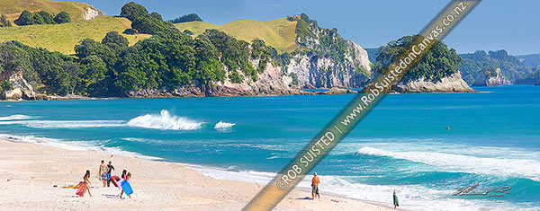 Photo of Whiritoa Beach with people enjoying swimming, surfing, walking and sunbathing in summer warmth. Coromandel Peninsula. Panorama, Whiritoa, Hauraki, Waikato Region, New Zealand (NZ)