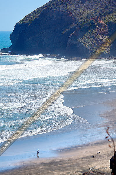 Photo of Person walking dogs on the black sand beach of O'Neill's Bay, with Raetahinga Point beyond, Bethells Beach, West Auckland, Waitakere City, Auckland Region, New Zealand (NZ)