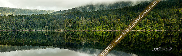 Photo of Lake Mapourika surrounded by rainforest. Reflections. Westland / Tai Poutini National Park, South Westland. Panorama, Franz Josef, Westland, West Coast Region, New Zealand (NZ)