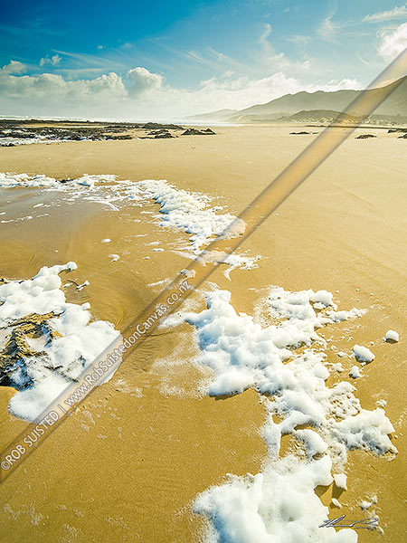 Photo of Mitimiti Beach, with sea foam on golden sands, on the remote west coast of Northland. Moerewa Point in distance, Mitimiti, Far North, Northland Region, New Zealand (NZ)