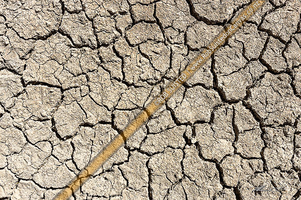 Photo of Dry soil cracked in drought conditions, Lake Grassmere, New Zealand (NZ)