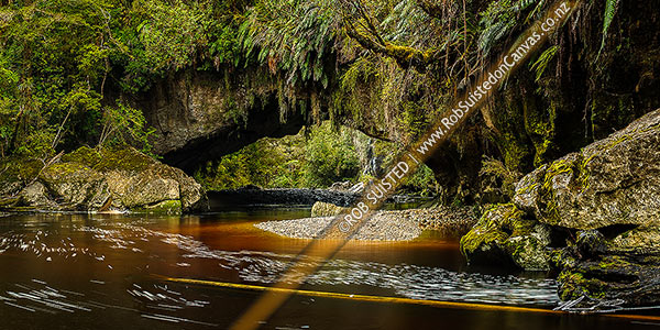 Photo of Oparara Arch. The Oparara River entering the little Oparara arch (Moria Gate). Clean, dark vegetation and tanin stained water moving slowly under the limestone arch. Panorama, Karamea,Kahurangi National Park, Buller, West Coast Region, New Zealand (NZ)