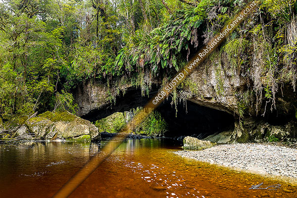 Photo of Oparara Arch. The Oparara River entering the little Oparara arch (Moria Gate). Clean, dark, tanin stained water moving slowly under the limestone arch, Karamea,Kahurangi National Park, Buller, West Coast Region, New Zealand (NZ)