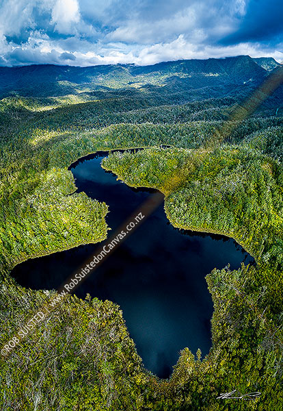 Photo of Lake Hanlon nestled amongst forest in the Mokihinui Forest. Wind and storm damage visible in forest. Radiant Range beyond. Aerial view, Karamea, Buller, West Coast Region, New Zealand (NZ)