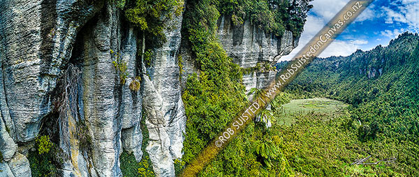 Photo of Bullock Creek valley in Paparoa National Park, with high limetone cliffs, karst geology, and the Bullock Creek polje prominent. Aerial view, Paparoa National Park, Buller, West Coast Region, New Zealand (NZ)