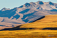 MacKenzie Basin high country canvas print