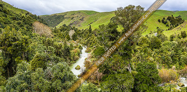 Photo of Makuri River in the Makuri Gorge Scenic Reserve, aerial panorama over looking native forest canopy. Northern Wairarapa, Makuri, Tararua, Manawatu-Wanganui Region, New Zealand (NZ)