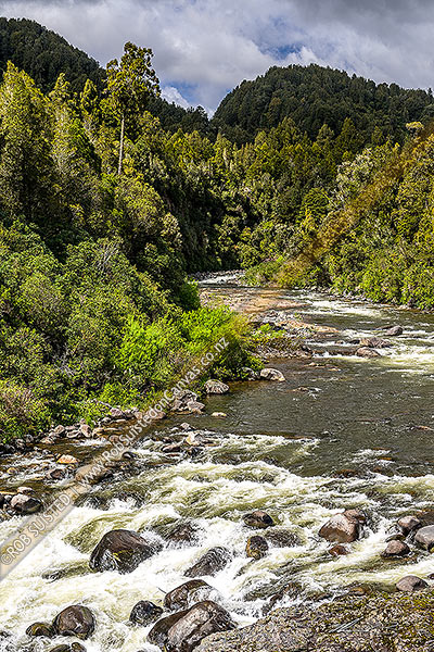 Photo of Whakapapa River in the Tongariro Conservation Area. Tongariro Forest, Owhango, Ruapehu, Manawatu-Wanganui Region, New Zealand (NZ)