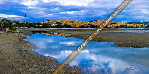 Photo of Pauatahanui Inlet arm of Porirua Harbour, with evening light on the northern hills reflecting in the calm low tide water. Seen from Ivey Bay. Panorama, Paremata, Porirua City, Wellington Region, New Zealand (NZ)